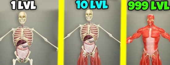 читы на idle human. 1573795997 idle human. читы на idle human фото. читы на idle human-1573795997 idle human. картинка читы на idle human. картинка 1573795997 idle human. Захватывающий кликер, в котором вы сможете подробно узнать строение человека и его организма и при этом сможете сами создавать части тела, чтобы сформировать целое человеческое тело.